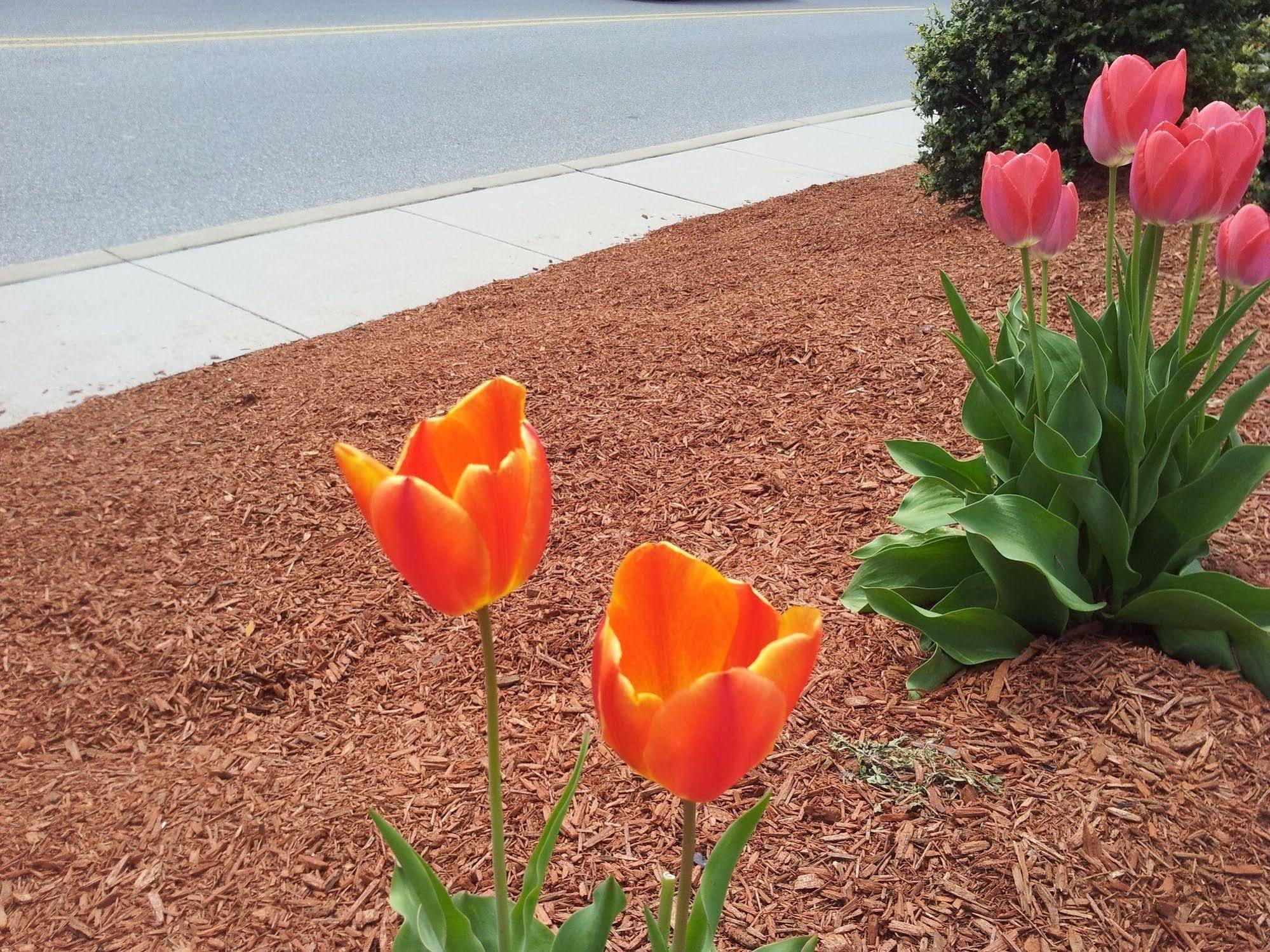 President Inn & Suites Gettysburg Kültér fotó